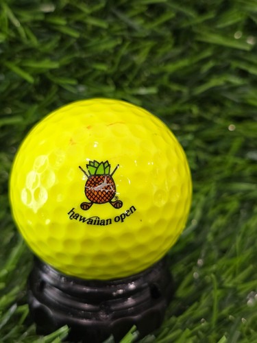 *You Pick* Golf Course Logo Balls and More - Picture 42 of 81