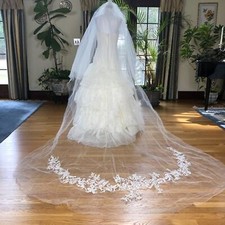White by Vera Wang Strapless Ivory Fit & Flare Wedding Gown and Veil SZ 6 Fairy