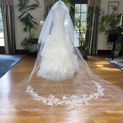White by Vera Wang Strapless Ivory Fit & Flare Wedding Gown and Veil SZ 6 Fairy