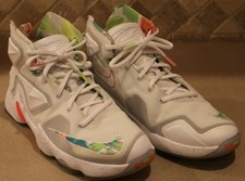 lebron james shoes size 5.5