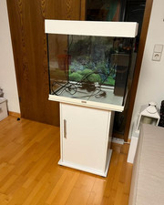 Aquarium JUWEL Lido 120+Schrank