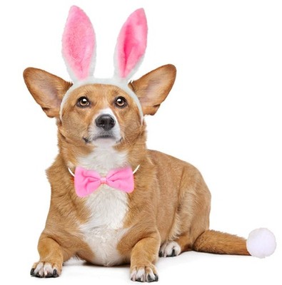 Dog Bunny Costume Set Pet Rabbit Ears Headband Tail and Cat Bowtie Collar
