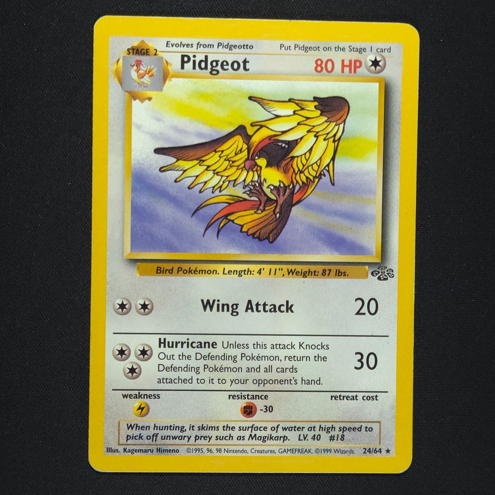 Pidgeot 24/64 - Jungle - Pokemon Card