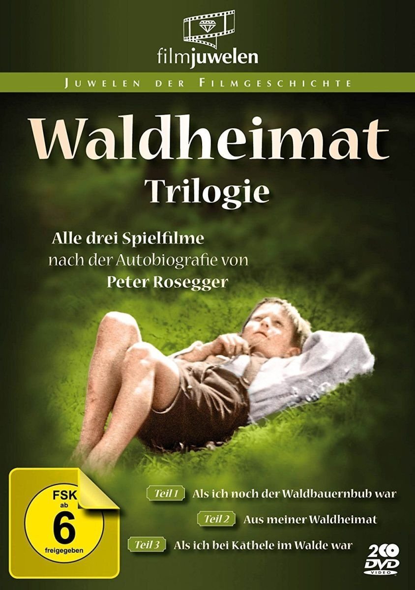 Waldheimat Trilogie - Alle 3 Filme der Waldbauernbub-Reihe [2 DVDs] (Ferns (DVD)
