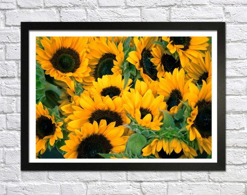 SUNFLOWERS -DEEP FRAMED CANVAS FLORAL WALL ART PICTURE PAPER PRINT-YELLOW GREEN - Picture 7 of 15