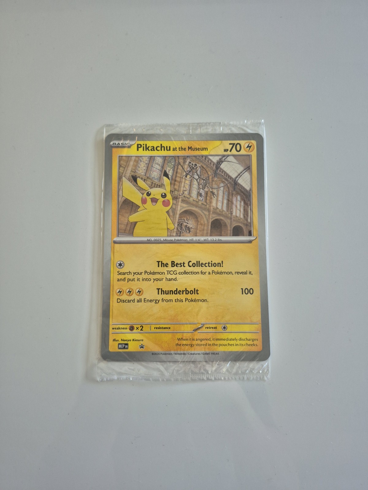 Pokémon Pikachu at the Museum Oversized Card 004 Collectible Pokémon TCG Sealed