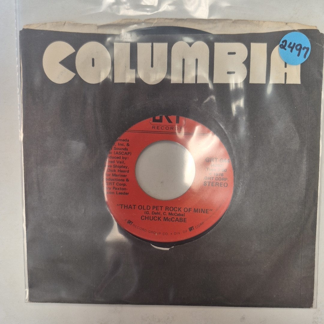 Chuck McCabe That Old Pet Rock of Mine 7