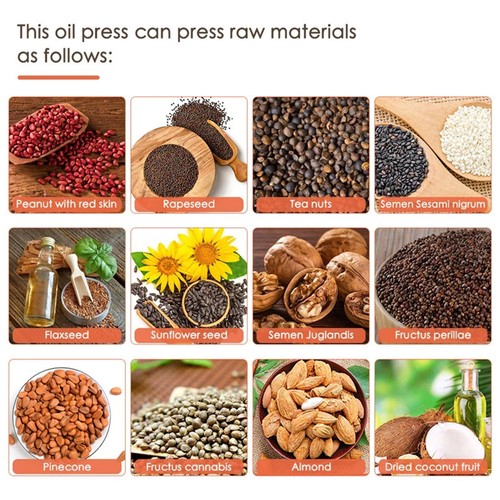 Commercial Automatic Oil Press Machine Oil ExpellerElectric Cold/Hot Oil Machine - Picture 4 of 17