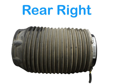 11-16 Hyundai Equus Rear Right Side Air Suspension Spring 553603M501 Oem