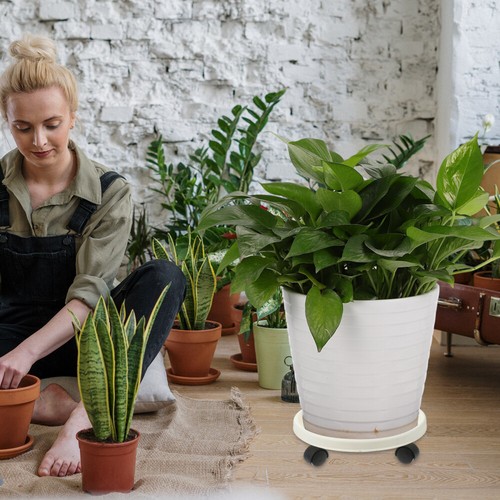 Rolling Base Potted Plant Potted Plant Rollers Plant Display Rack - Afbeelding 12 van 12