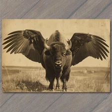 POSTCARD Buffalo Bison Majestic Winged Soaring in the Sky Buffalo Wings Funny