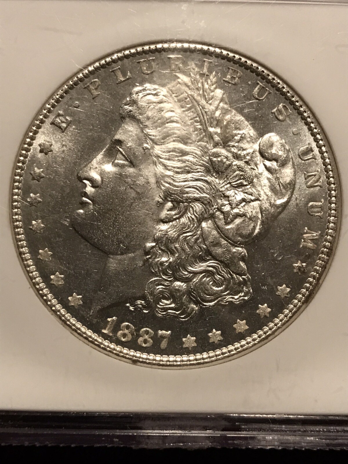 Picture 2 of 19