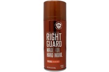 Right Guard Sport 8.5 Ounce Aerosol Original 24Hr Deodorant