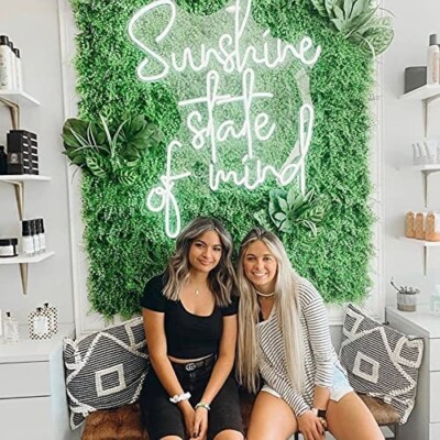 32''x25.2'' Sunshine State Of Mind Flex LED Neon Sign Gift Party Bar Décor Poster