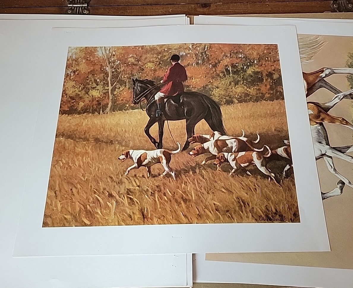 Picture 14 of 24