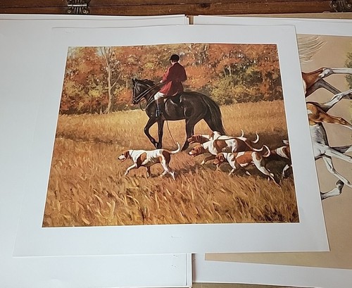 The Look of a Thoroughbred 8 Vntg Horse Prints C.W. Anderson Portfolio Man O War - Picture 14 of 24