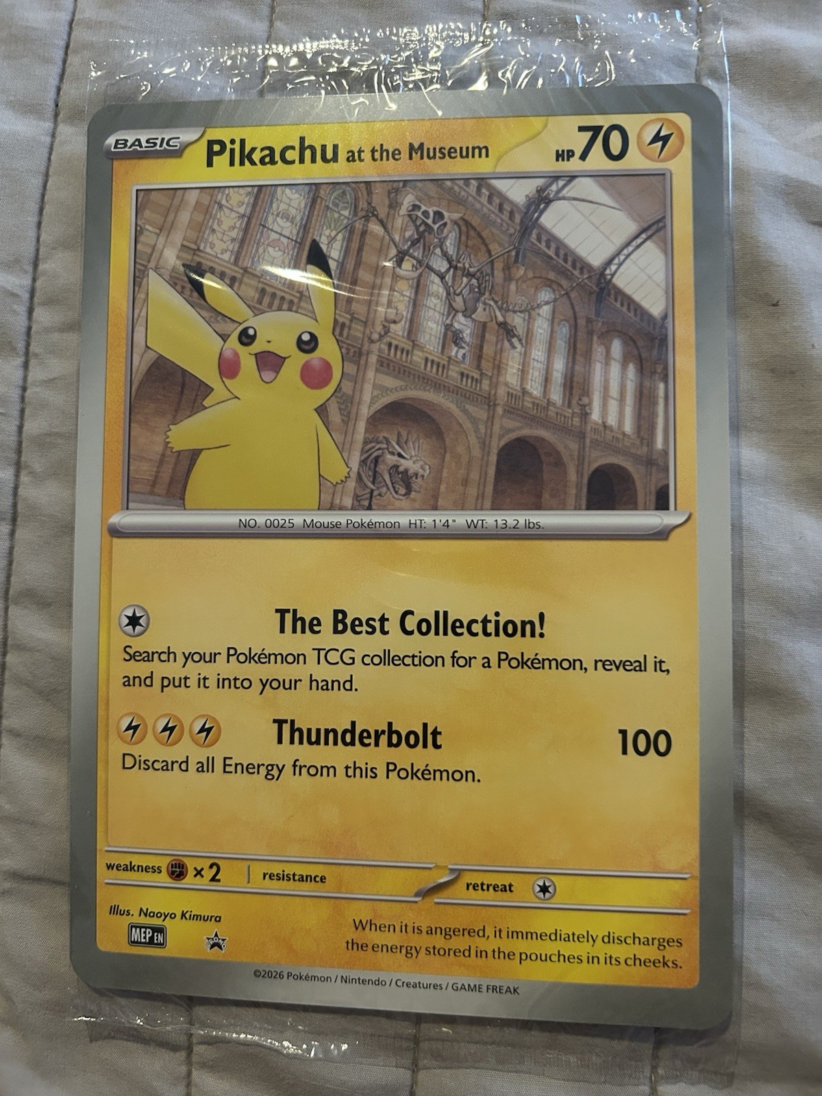 Pikachu At The Museum Pokemon Card
