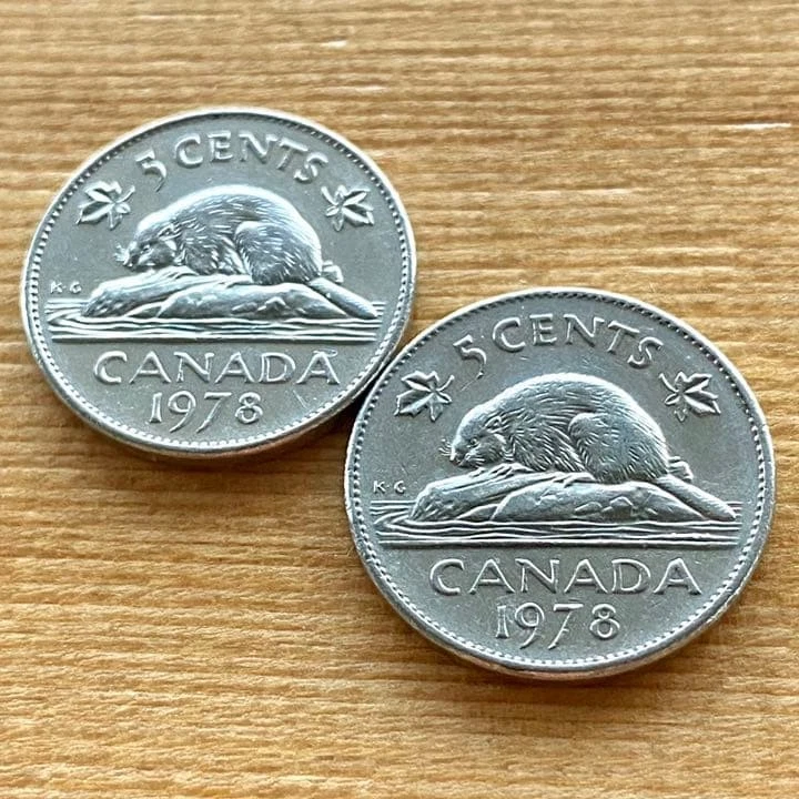Royal Canadian Mint 1978 Nickel Beaver Coin (2 pieces) Canada - Image 2 of 4