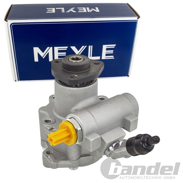 Meyle Servopumpe Hydraulikpumpe Passend FüR Bmw 3 X1 | 314 631 0029-image