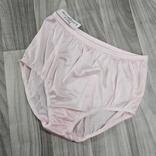 Nylon Brief Panty Classic Granny Panties by Teri Lingerie, Pastel Pink, Size 7