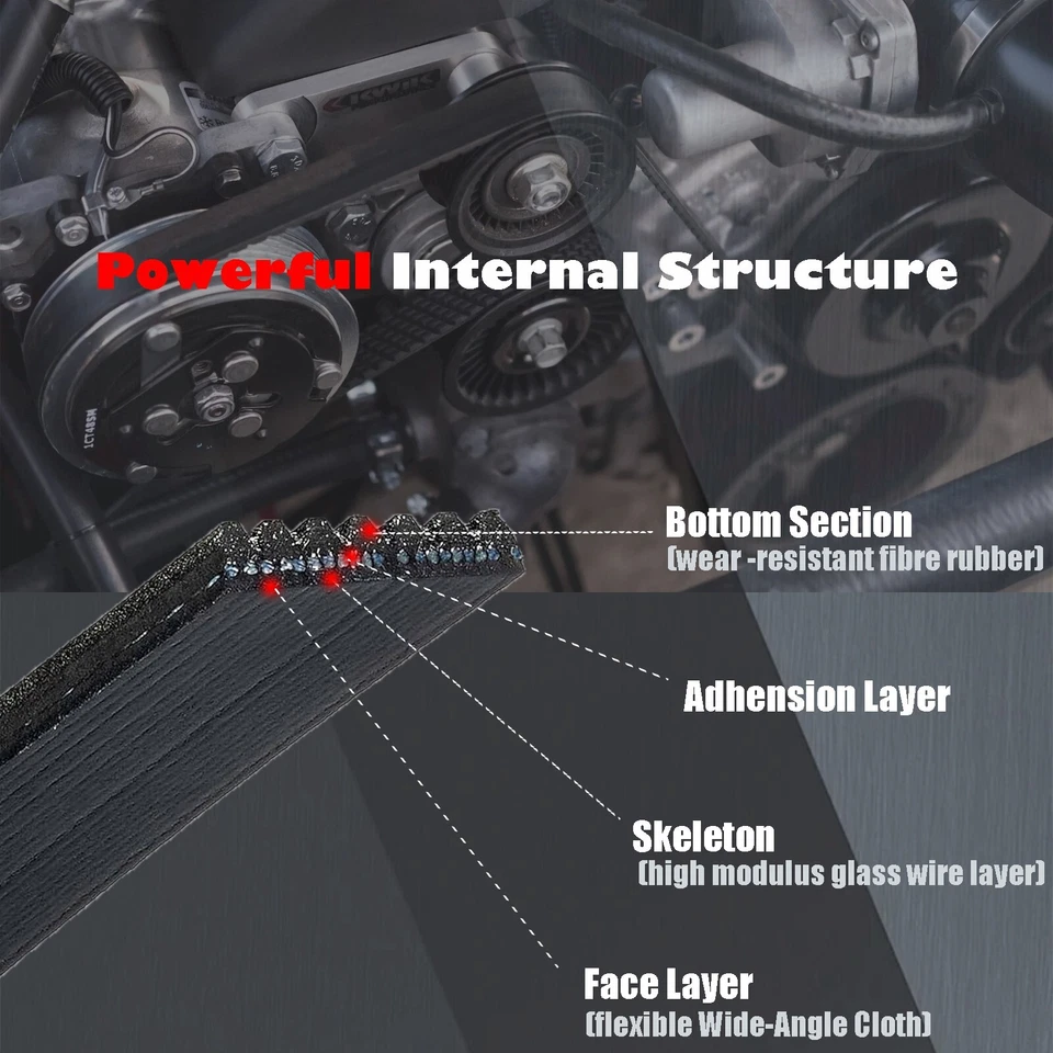Cinturón Serpentine para Volkswagen Golf Beetle Jetta 1998-2006 Audi TT 6DPK1195 EPDM Foto 4 de 4