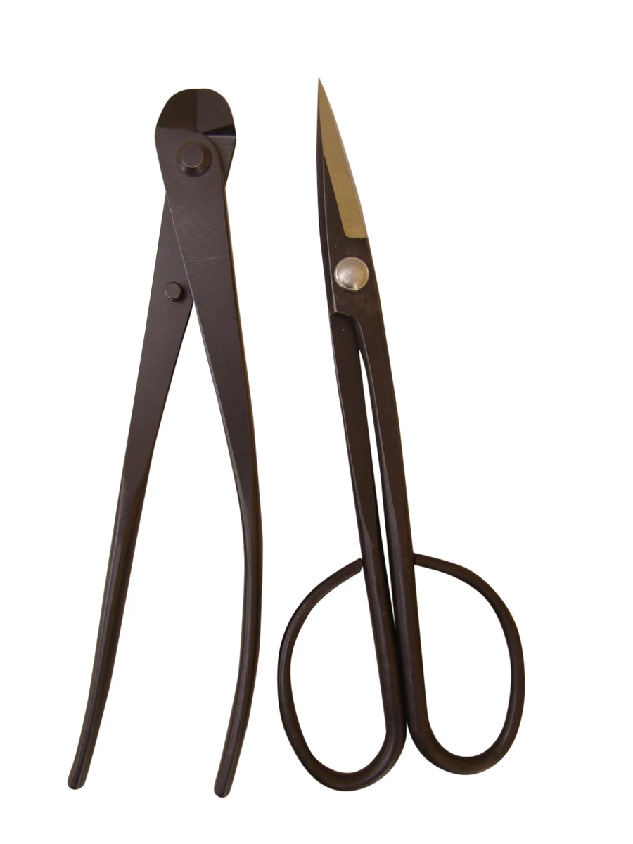 Ermordung Arbeitslos Verwechseln bonsai werkzeug set Taste Besteuerung