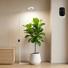 Full Spectrum Grow Light for Large Indoor Plants, Adjustable Height Floor Plant