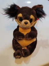 Ty Beanie Bellie Toffee the Dog  6"  New and HTF