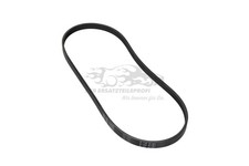 Keilrippenriemen für Ford Focus Kuga Transit Tourneo 5160290