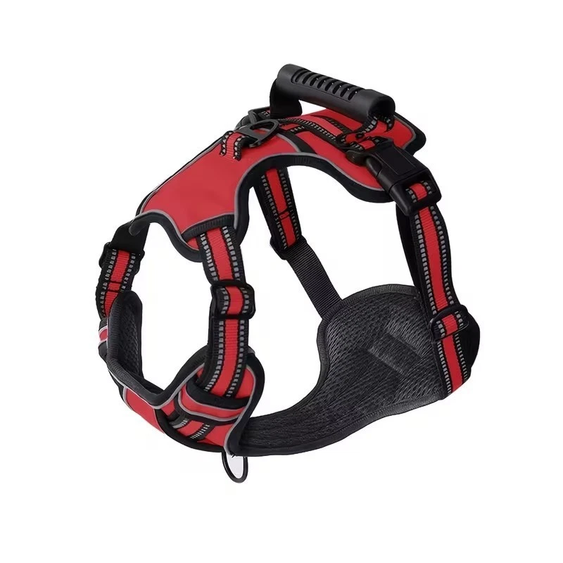 dog harness