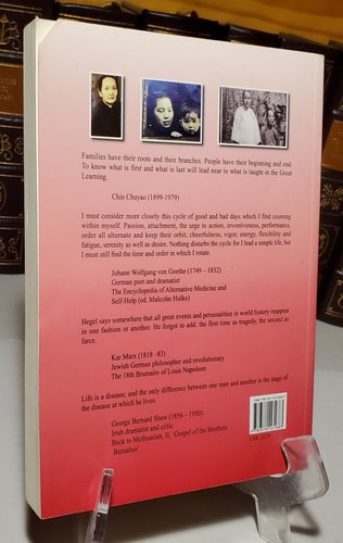 RARE The True Story Of Qing Dynasty & Aftermath In Nainai 1549-2009 Mouhal C. Wu - Bild 2 von 12