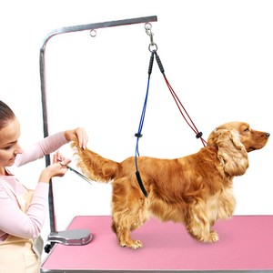 ebay dog grooming table
