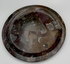 Natural Fossil Stone Plate Orthoceras Sea Shell Polished Brown Marble ...
