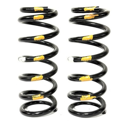 97-06 Jaguar XKR X100 Rear Right & Left Suspension Coil Spring Set of 2 OEM 45K