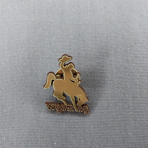 Wyoming WY Cowboy Bronco Gold Black Plastic Hat Jacket Pin