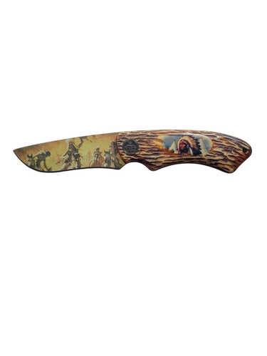 Wild Outdoors Stainless American Indian - Native American Display Knife in Box - Picture 7 of 14
