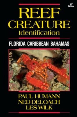 Reef Creature Identification: Florida Caribbean Bahamas by Paul Humann: New