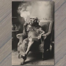 POSTCARD Anthropomorphic Dog Chair Smoking Pipe Retro Canine Funny Unusual Fun