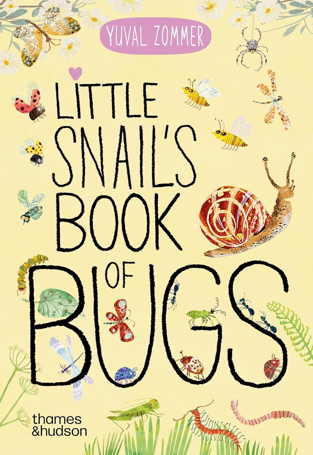 Little Snail's Book of Bugs (Big Book)