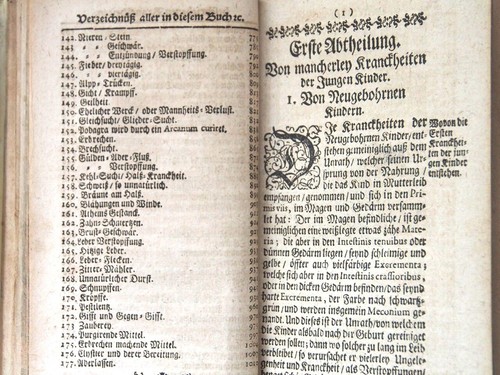 Thesaurus Sanitatis Menschlicher Gesundheit Johann Jacob Braeuner 1712 - Picture 13 of 16