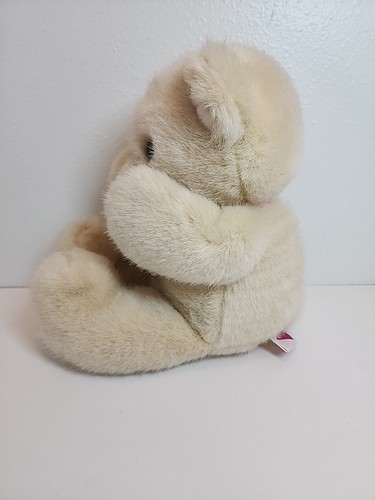 Vintage 90s DAKIN Bashful Magnetic Hands Shy Teddy Bear Plush Stuffed Animal 15" - Picture 13 of 16