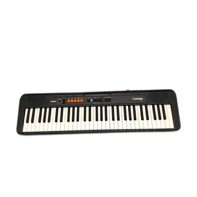 Casio Casiotone CTS100 Keyboard 61 Tasten 122 Sounds Stromkabel fehlt