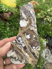 Wild Horse Jasper Slab