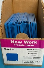Carlon 2-Gang 4 in. Blank Electrical PVC Box Cover (25 pcs)