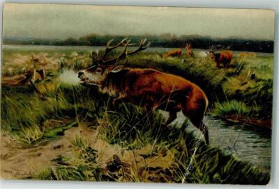 39629752-Stag signed Drathmann C. knocked off publisher stem no.47003