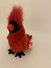 TY Beanie Baby  Mac  The Cardinal Rare With 6 Errors