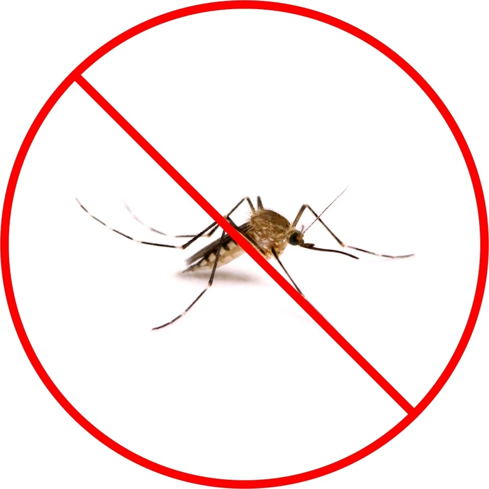 Pulverizador eléctrico industrial para nebulizadores de insectos mosquitos Foto 2 de 3