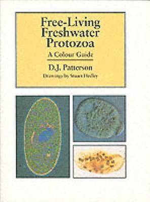 Free-living Freshwater Protozoa: A Color Guide by D. J. Patterson - Foto 1 di 1
