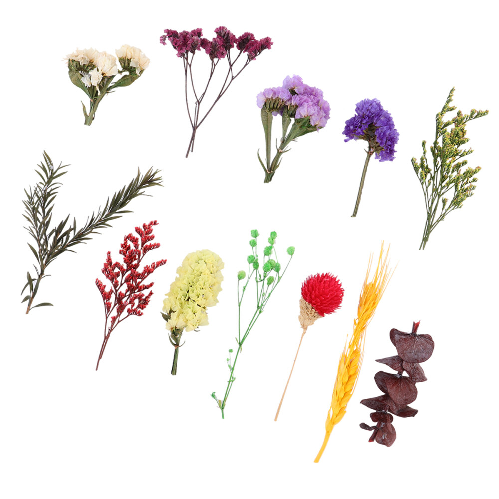Dried Flowers for Candle Making Scrapbooking Boxed Scattered Mixed Real-image