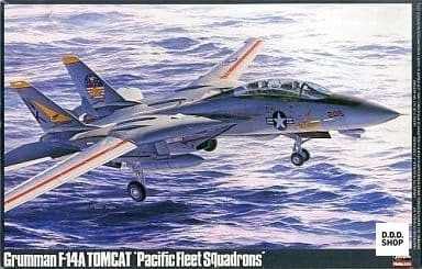 1/48 Grumman F-14A Tomcat  Pacific Carrier Air Wing   P18 